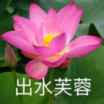 守护英雄3d手游(暂未上线)v1.37 安卓版